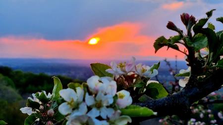 OB 22. APRILU – SVETOVNEM DNEVU ZEMLJE 2